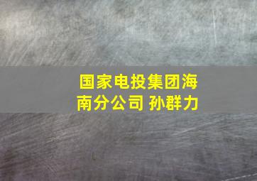 国家电投集团海南分公司 孙群力